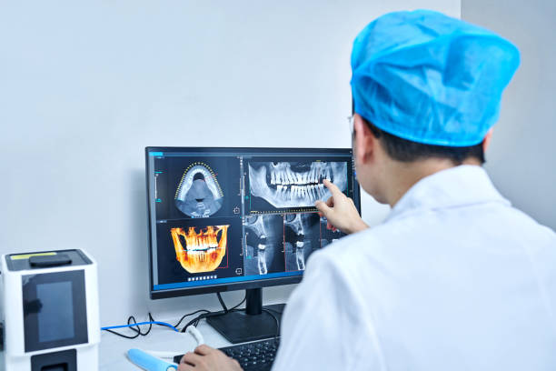 Best Emergency X-Rays and Diagnostics in Hutto, TX